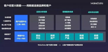 2019全球數字價值峰會 WakeData李柯辰——以數據為橋，連接品牌與客戶